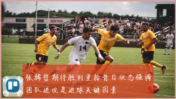 张稀哲期待胜利重拾昔日状态强调团队进攻是进球关键因素