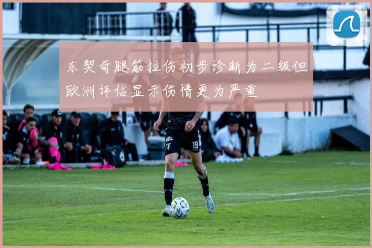 东契奇腿筋拉伤初步诊断为二级但欧洲评估显示伤情更为严重